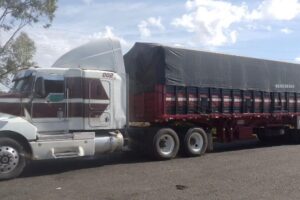 Trailer redilas